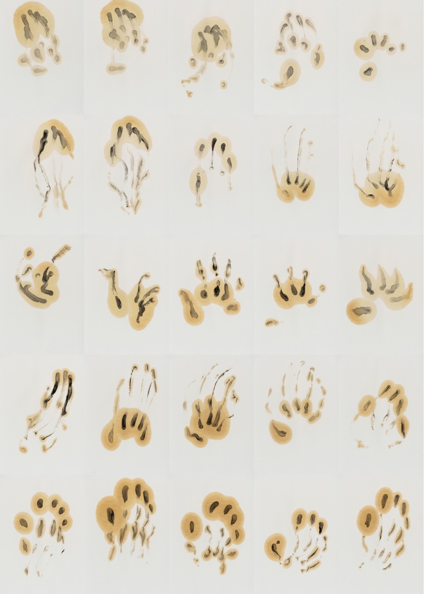 images/galeria/Hand-studies_group-Large.jpeg