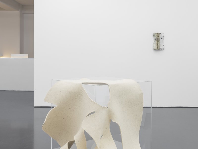 galeria/13b.jpg