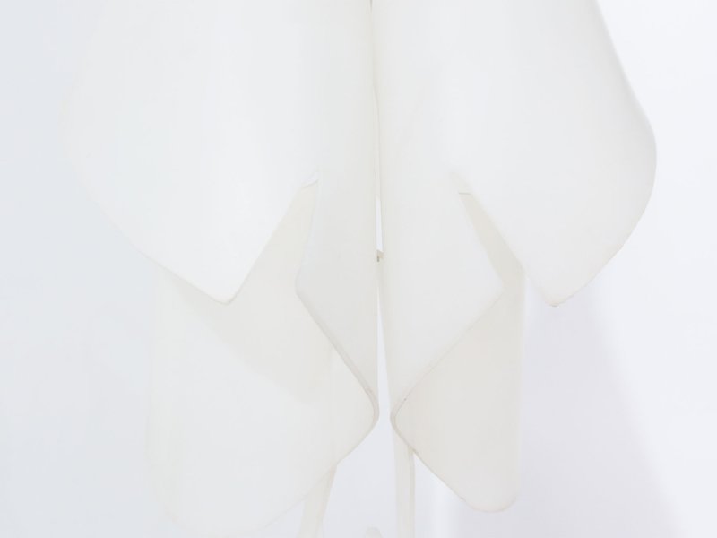 galeria/VERA-MOTA-Garganta-CPV-e_crop_web.jpg