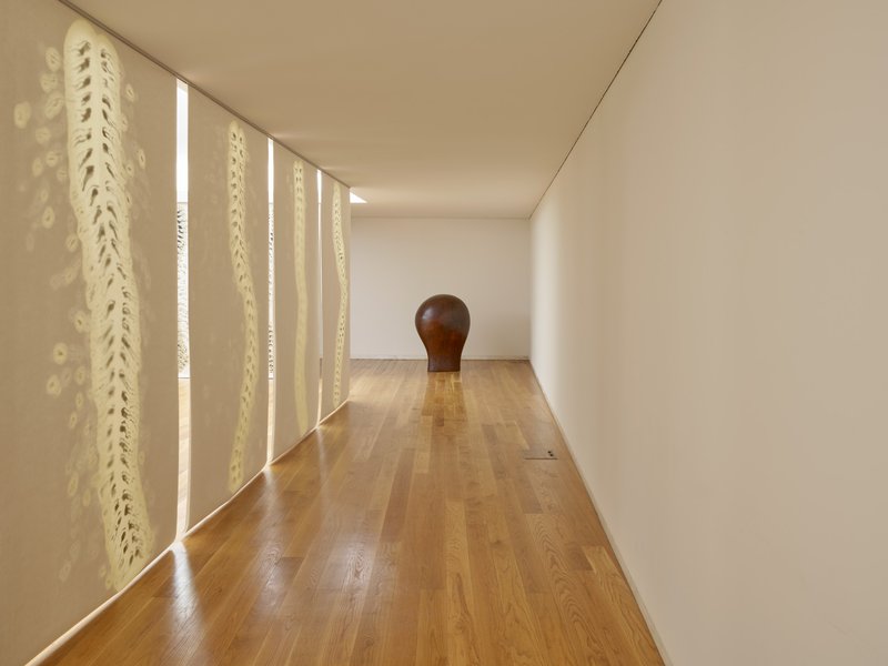 galeria/VM-CF094461.jpeg