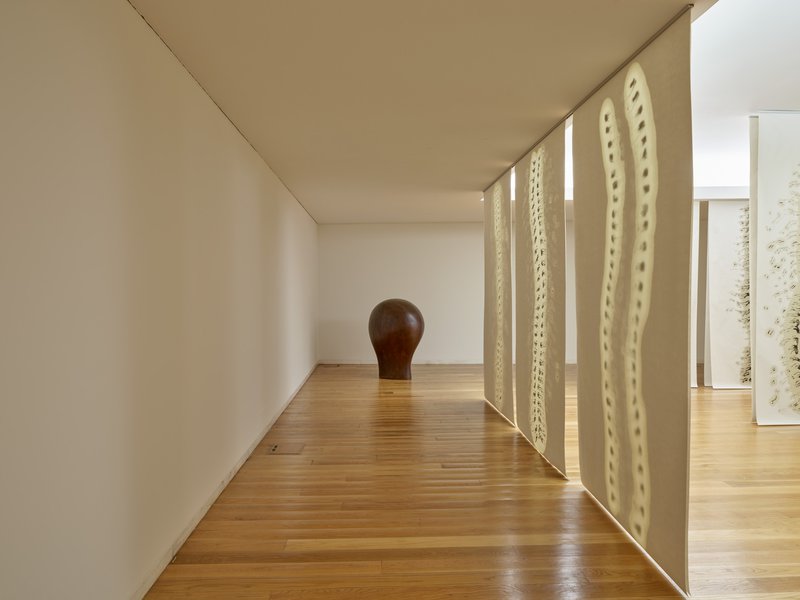 galeria/VM-CF094470-1.jpeg