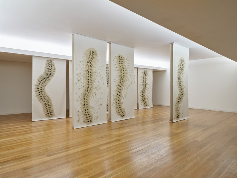 galeria/VM-CF094471.jpeg